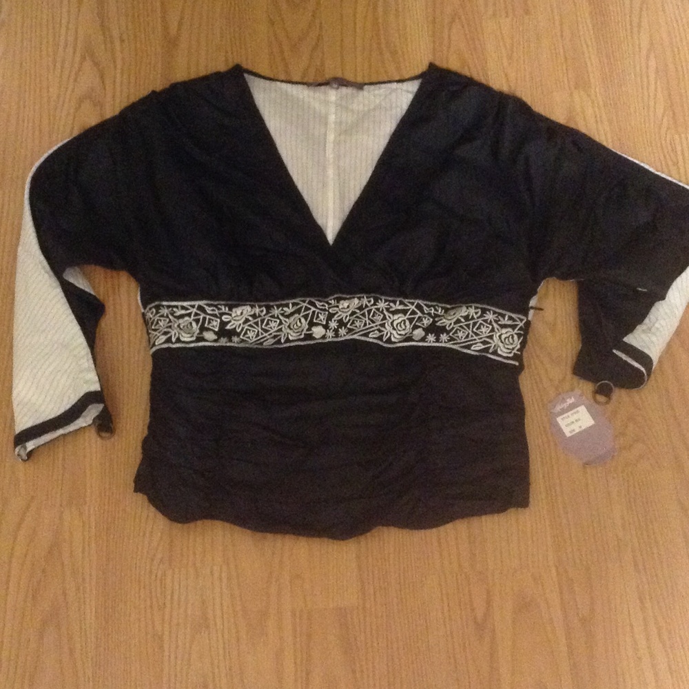 Fancy silk embroidered top
